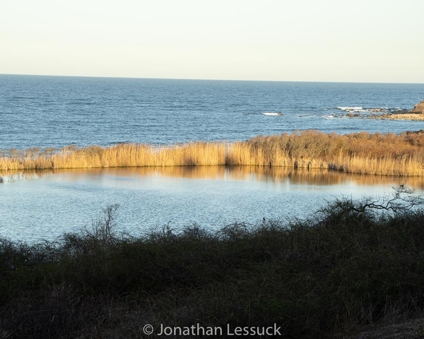 Lessuck - block island-22