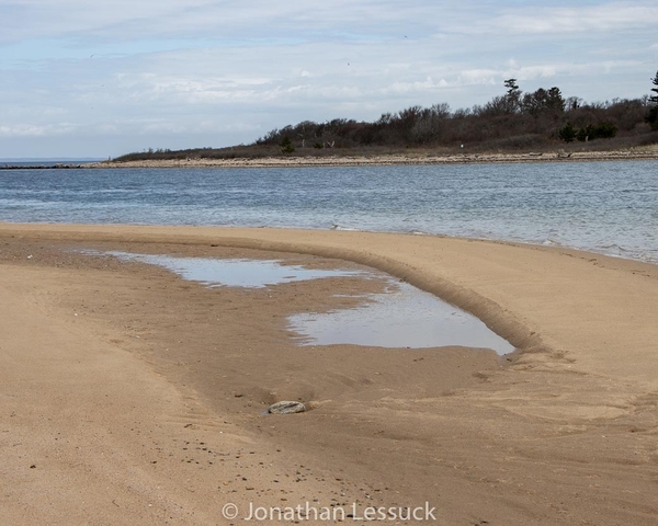 Lessuck - block island-23