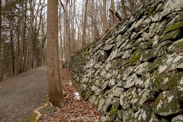 Lessuck_Croton Dam Park-4