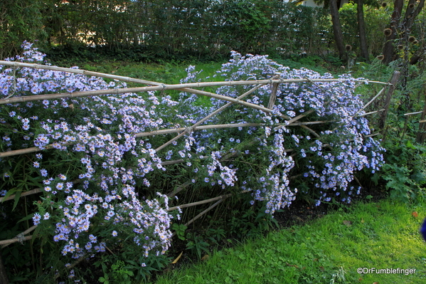 Ljubljana Botanical Garden (15)