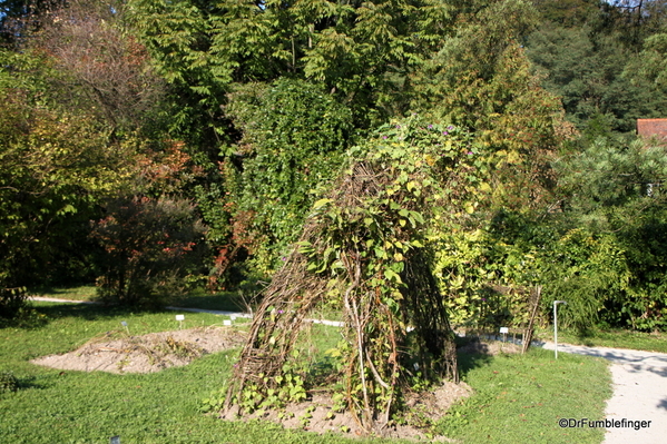 Ljubljana Botanical Garden (21)