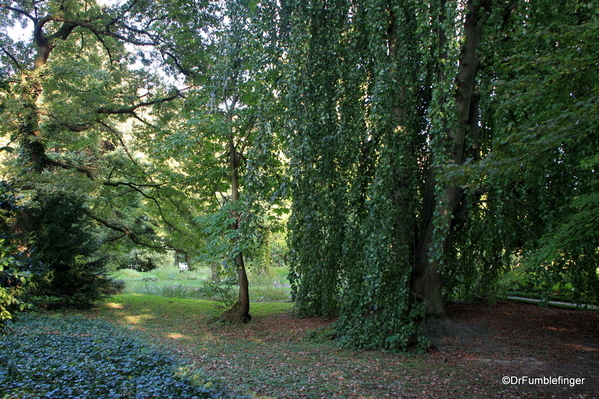 Ljubljana Botanical Garden (7)