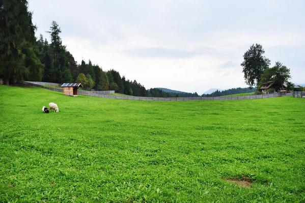 Lobis Hof Farm