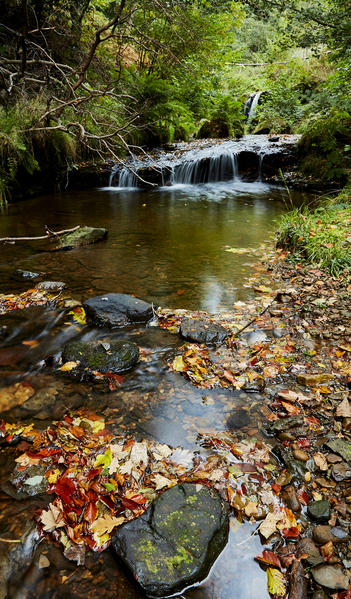 Blow Gill waterfall, Hawnby, Ryedale.