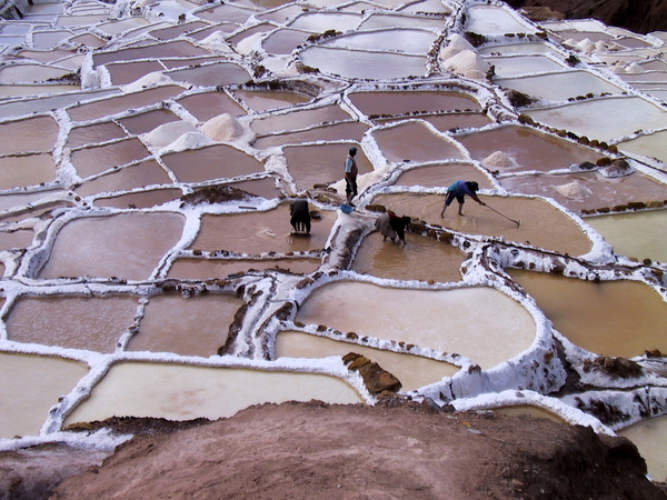 Maras salt pans (3)