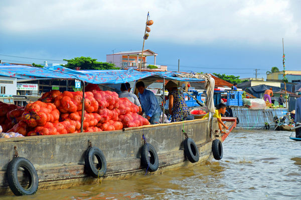 Mekong Delta 53