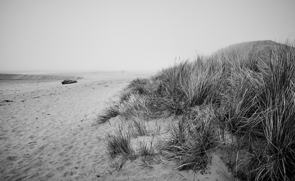 Mist and Dunes BW w