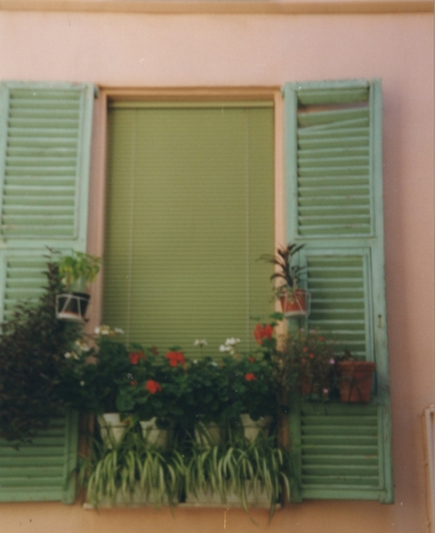 Monaco Flower Window