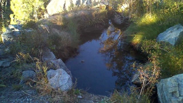 Mono Hot Springs-3