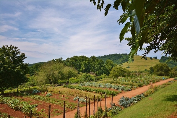 Monticello-Outside