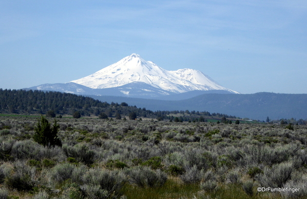 Mt. Shasta 03