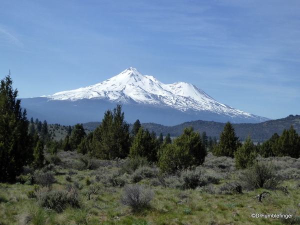 Mt. Shasta 11