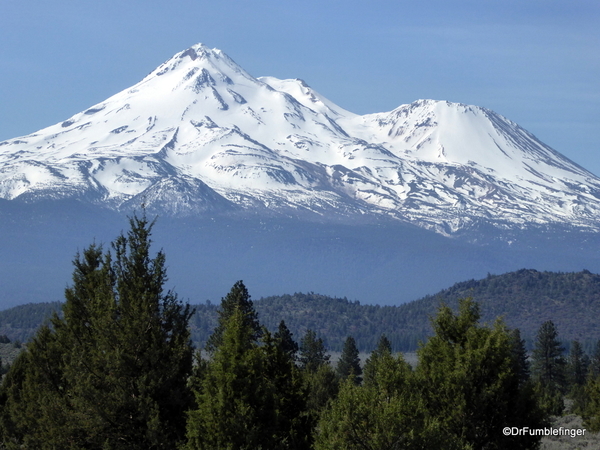 Mt. Shasta 16