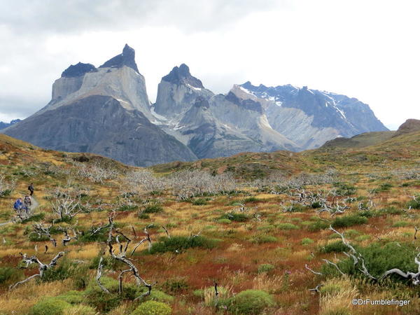 Paines Massif, Torres Del Paine (16)