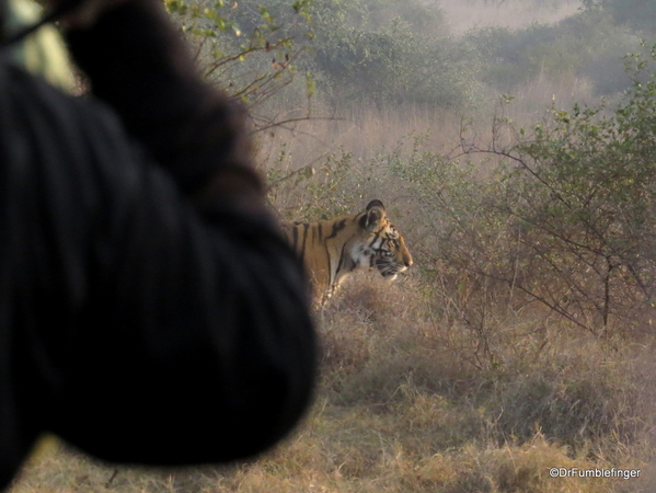 Panna Tiger Reserve (51)