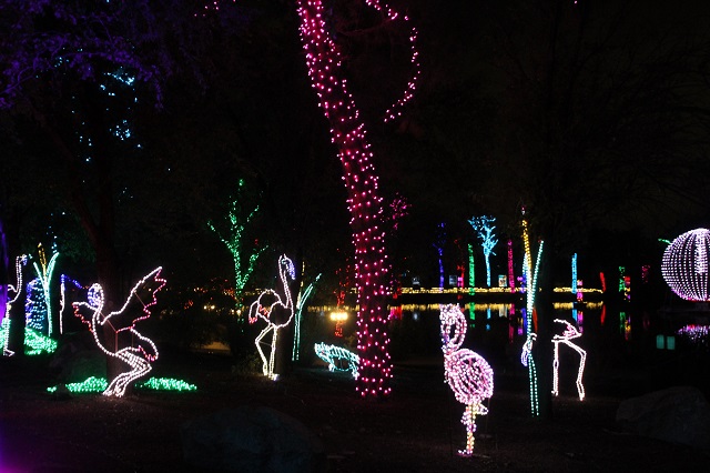 Phoenix Zoo Lights - Flamingos