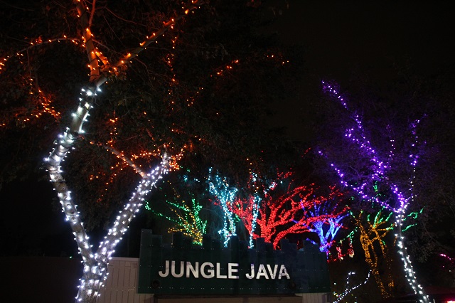 Phoenix Zoo Lights - Java