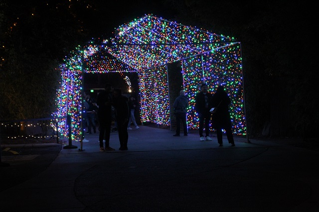 Phoenix Zoo Lights - Tunnel