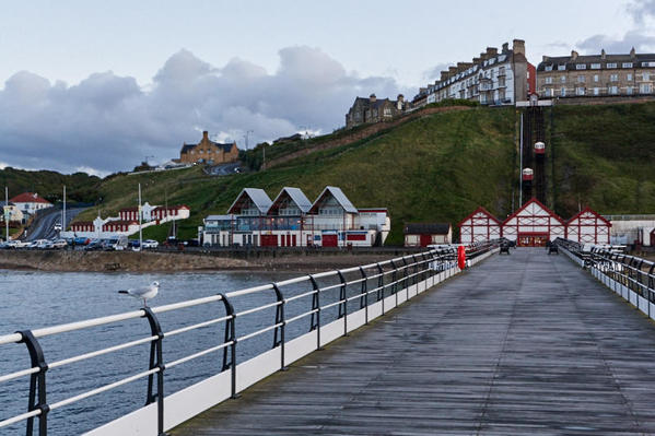 Pier seagull hillside 5 1