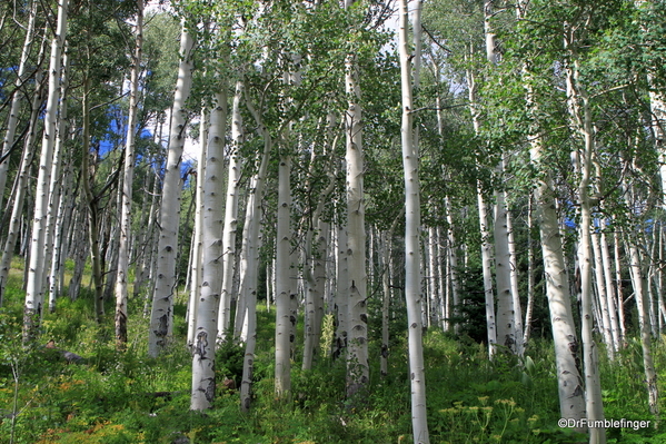 Piney Lake Hike 08-2011 (57)