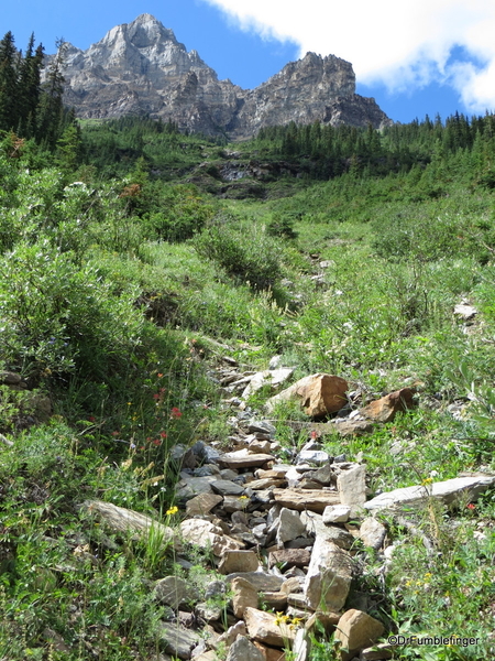 Plain of Six Glaciers 07