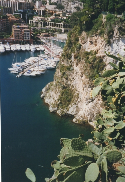 Port of Fontvieille viewpoint