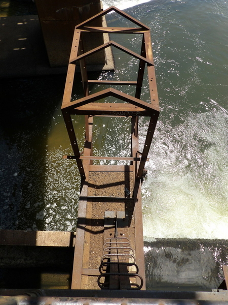 Potterfield Bridge Lower Level Platform