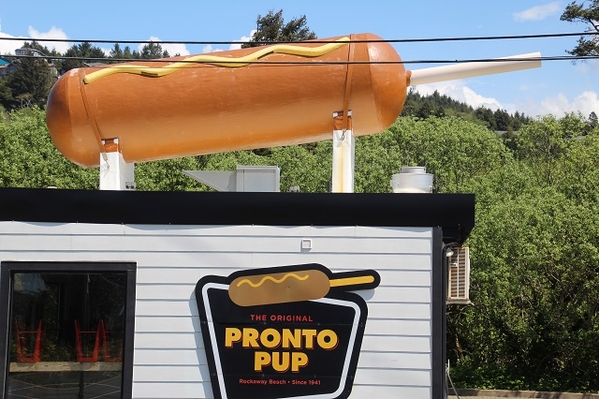 Pronto Pup 2