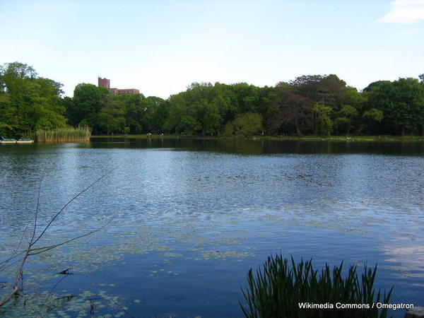 Prospect_Park_lake