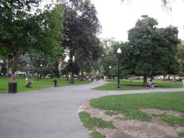 Public-Garden-2