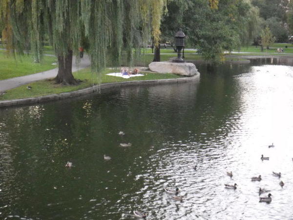 Public-Garden-3