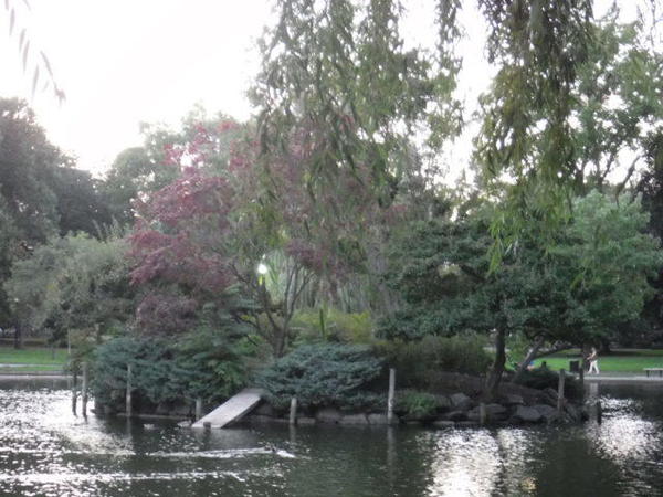 Public-Garden-4