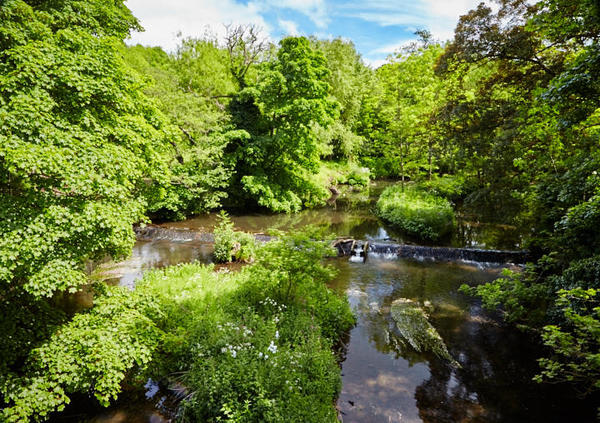 River Leven, Hutton Rudby