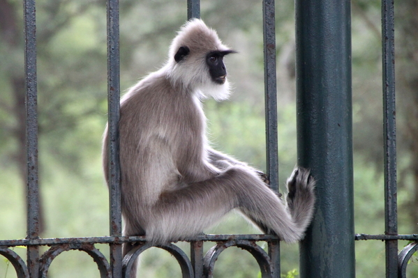 Roadtrip, Southern Sri Lanka (14)