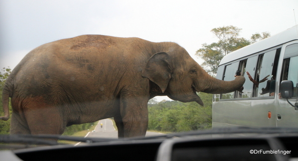 Roadtrip, Southern Sri Lanka (29)