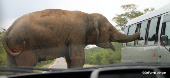 Roadtrip, Southern Sri Lanka (30)