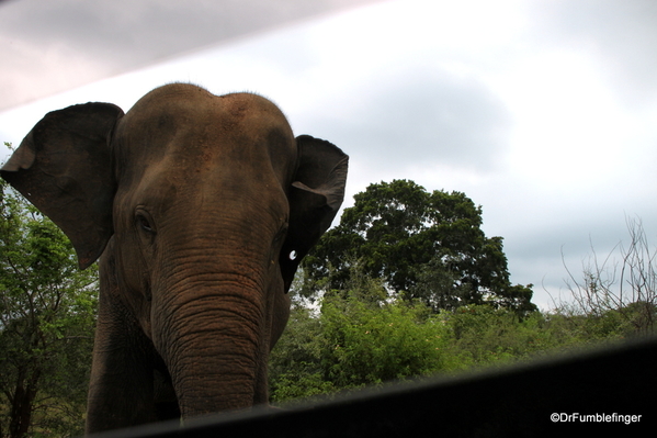 Roadtrip, Southern Sri Lanka (36)