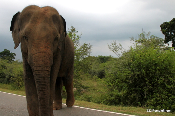 Roadtrip, Southern Sri Lanka (38)