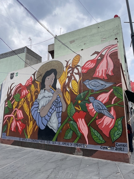 Roma Norte mural