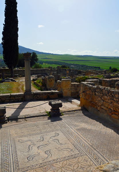 Roman site of Volubilis 2