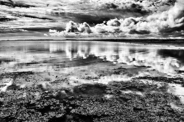 Ross Sands. Ross. England