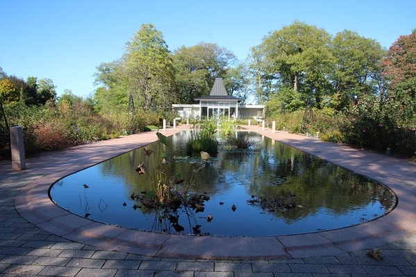 Royal Botanical Gardens - Reflecting Pool