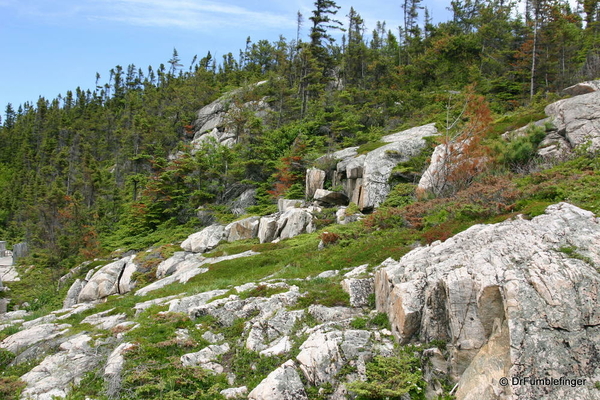 Saguenay-Fjord-2009-009