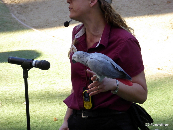 San Diego Zoo Safari (137)