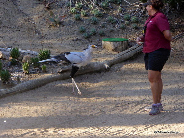 San Diego Zoo Safari (142)