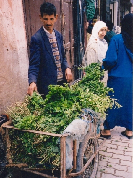 Marrakech6