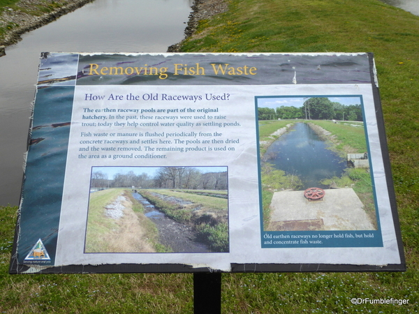 Shepherd of the Hills Fish Hatchery (32)