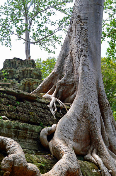 Siem Reap 91