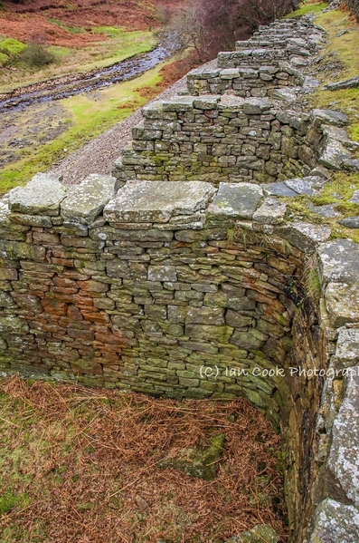 Sir Francis Lead Mine 8