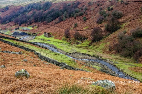 Sir Francis Lead Mine 9